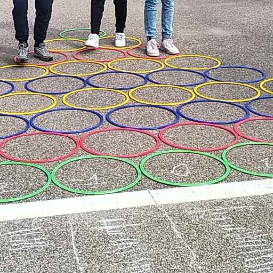 Des fourmis dans un labyrinthe