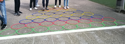 Des fourmis dans un labyrinthe